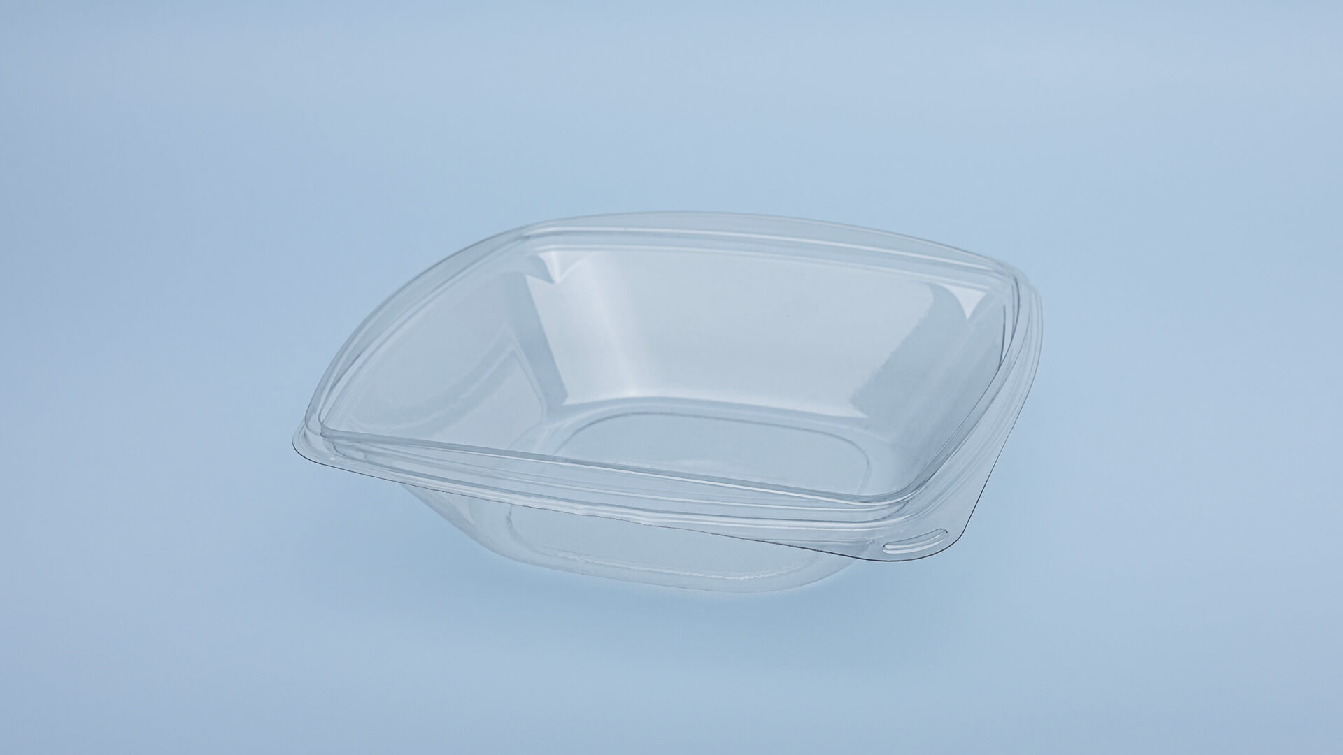 Caserole PET L - 321 (750 g)