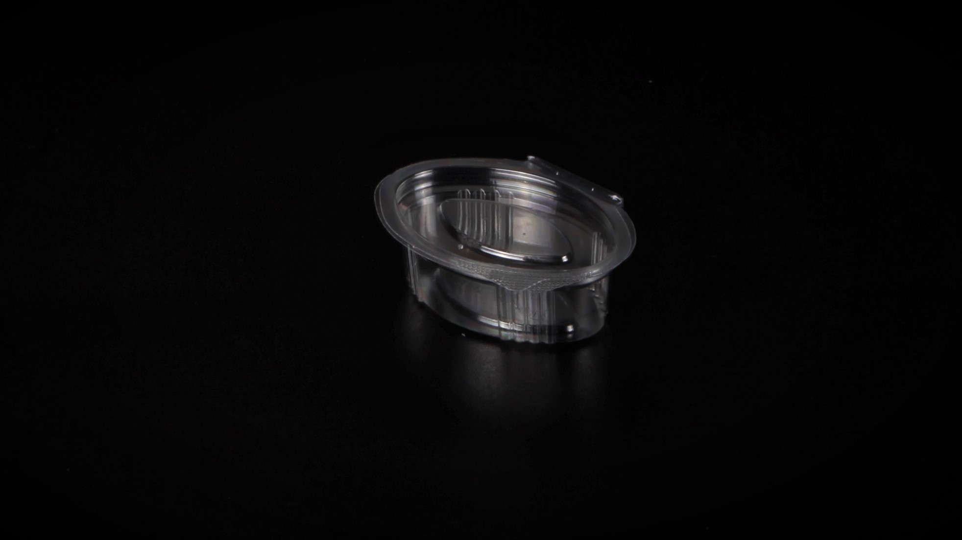 Caserole PET L - 202 (20 g)
