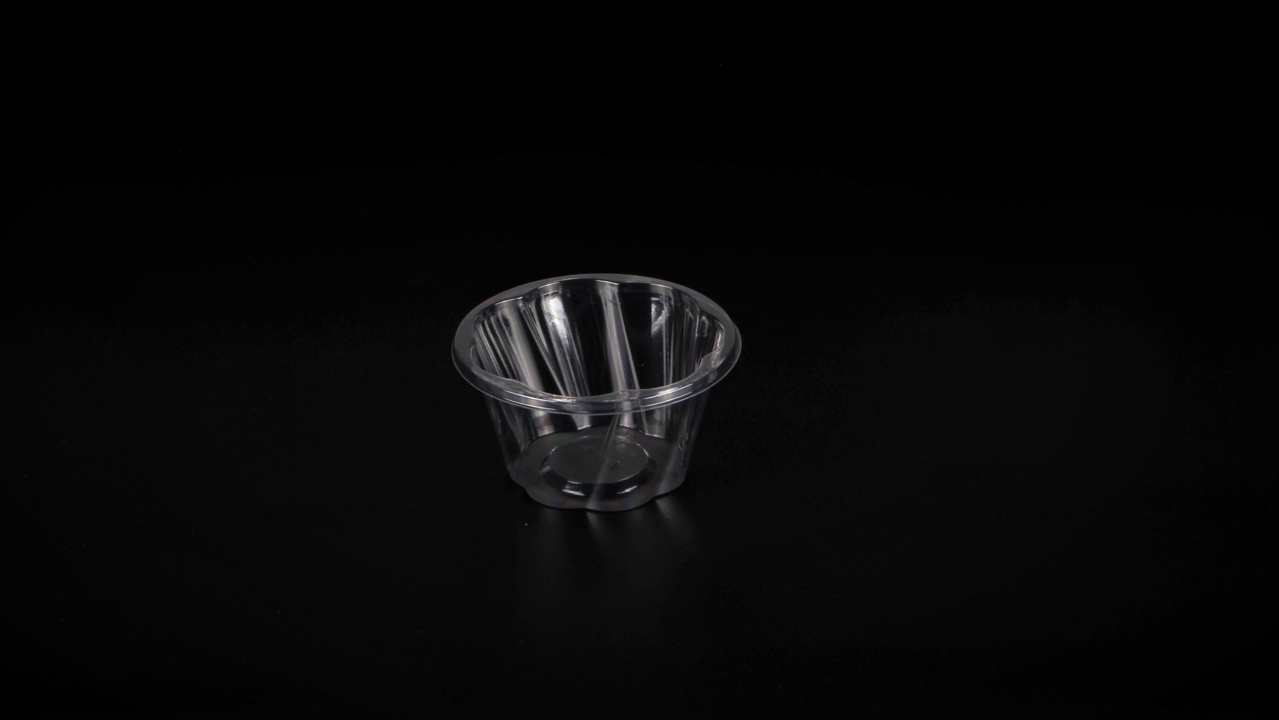 Caserole PET L - 250