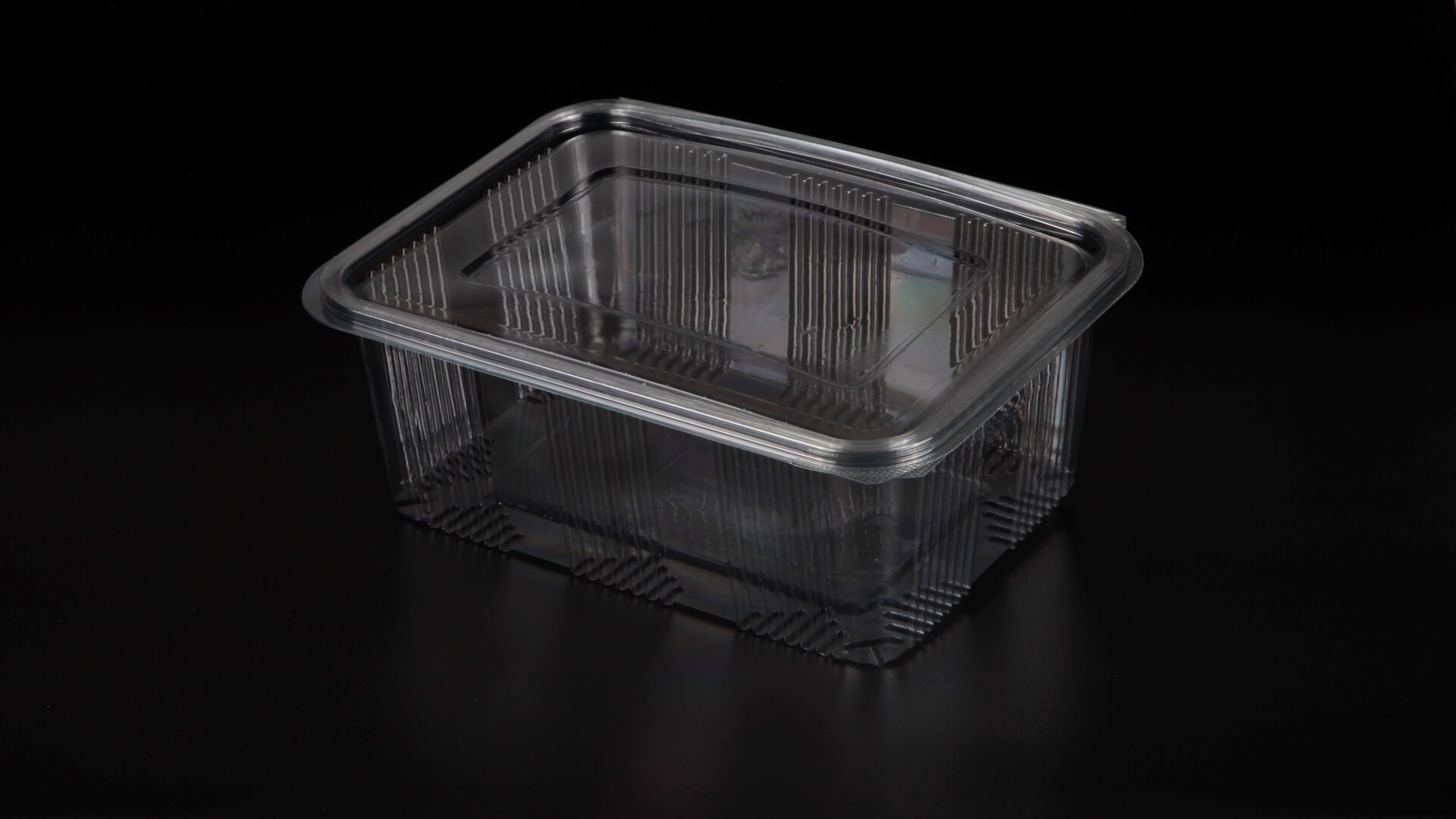 Caserole PET L - 120 (2000 g)