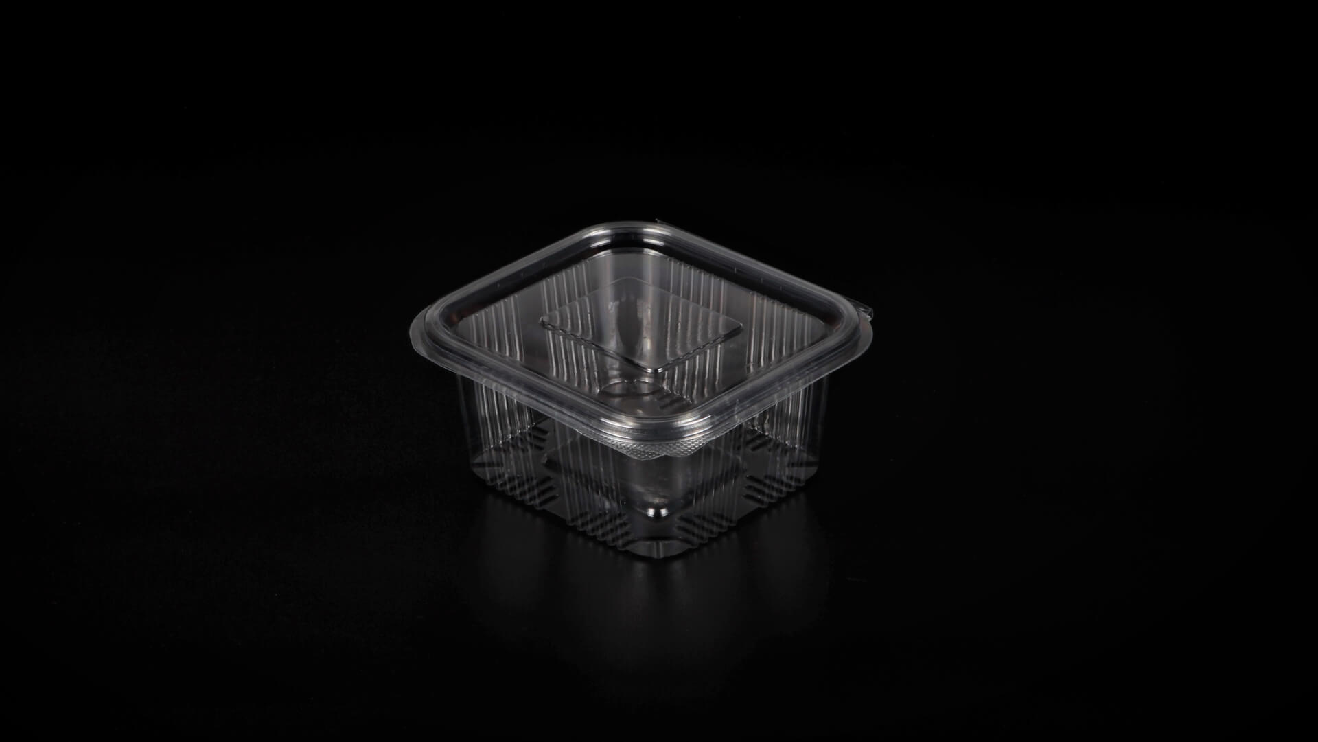 Caserole PET L - 105 (500 g)