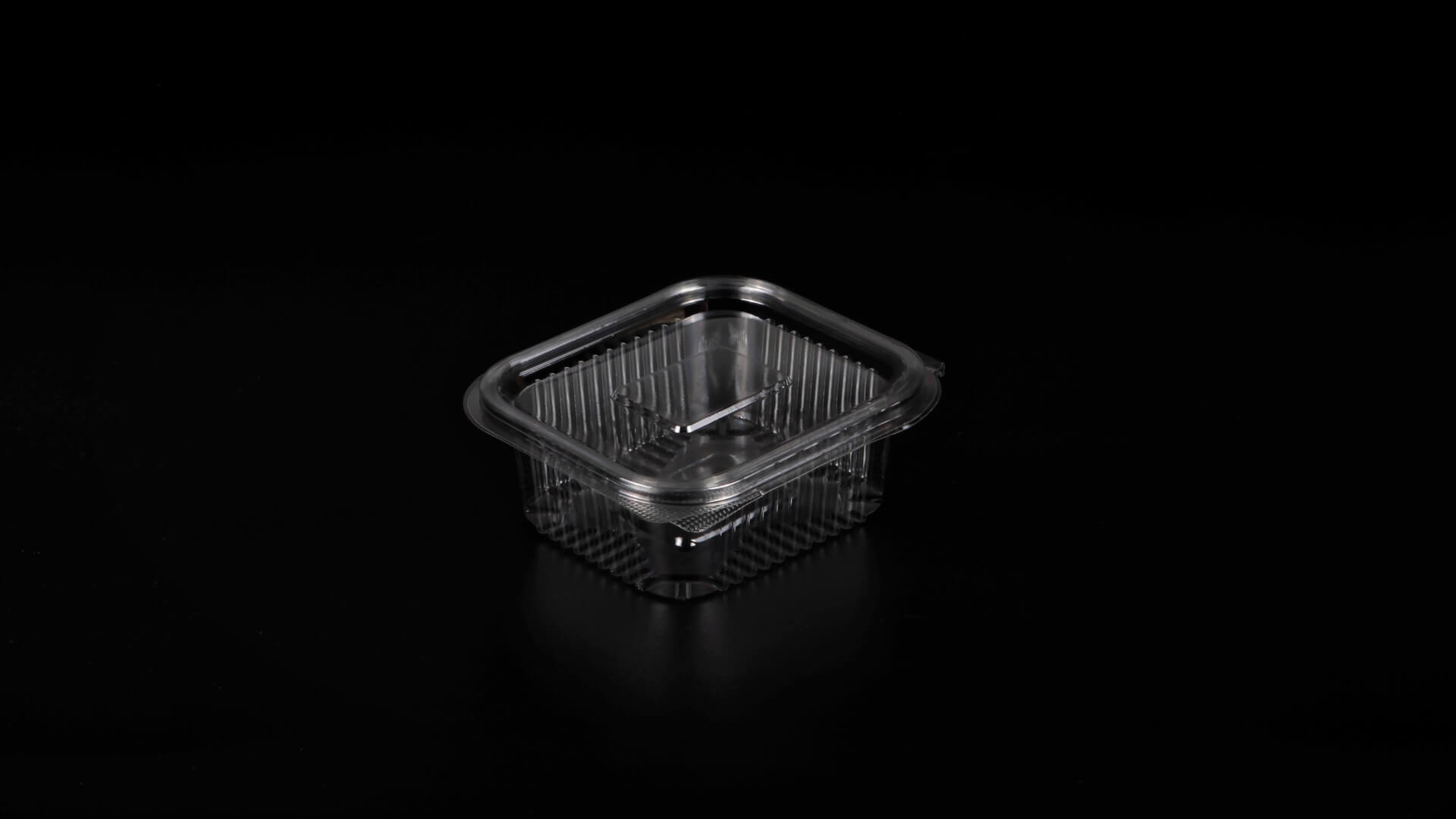 Caserole PET L - 102 (250 g)