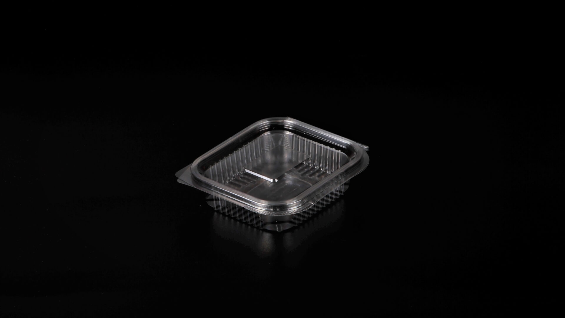 Caserole PET L - 101 (150 g)