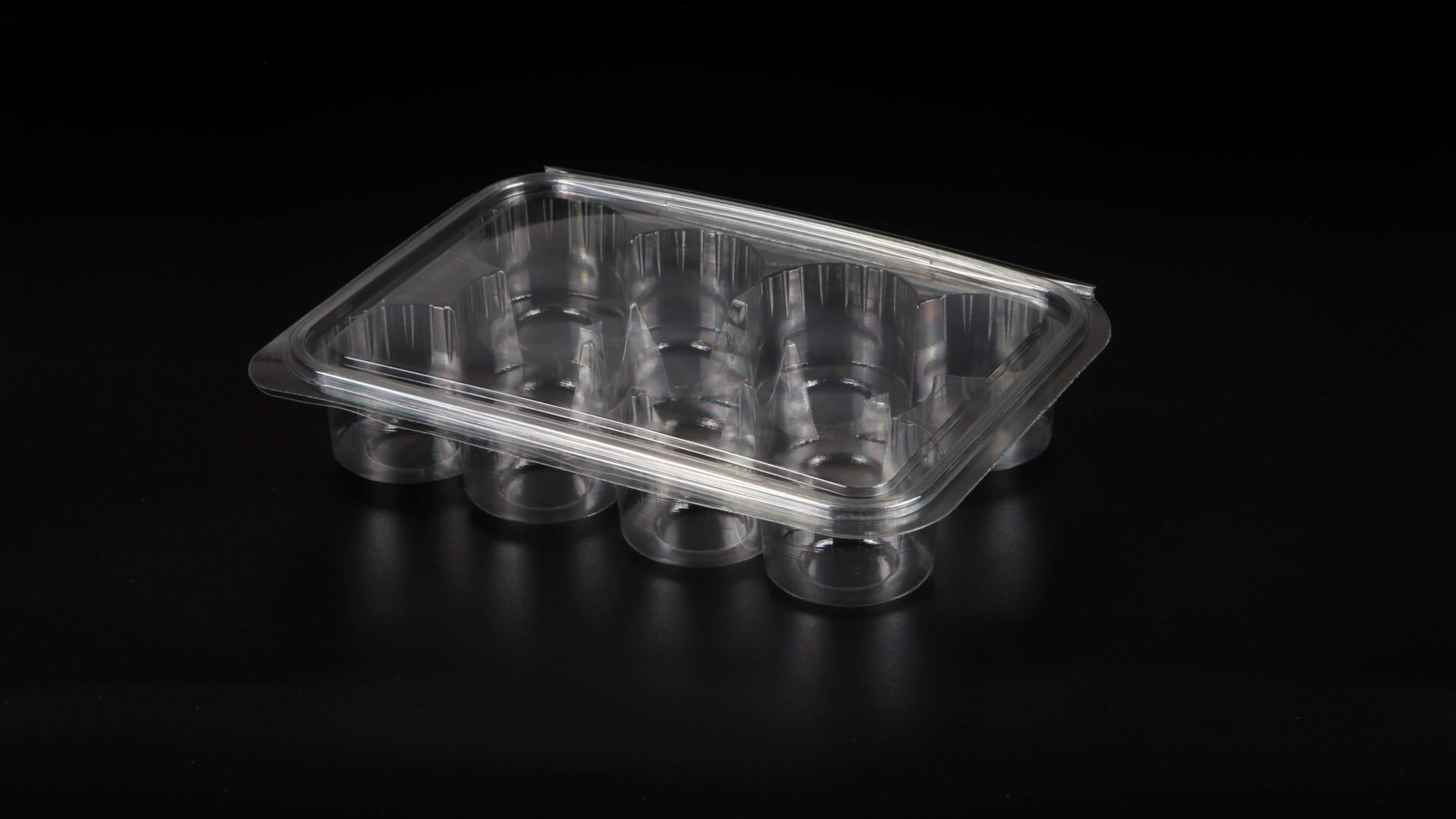 Caserole PET L - 066 (11 compartimente rotunde)