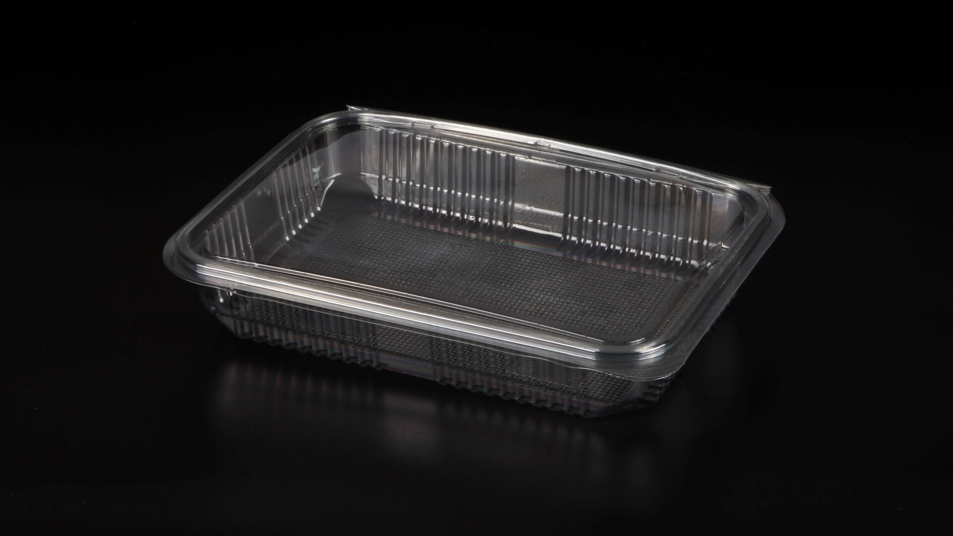 Caserole PET L - 063