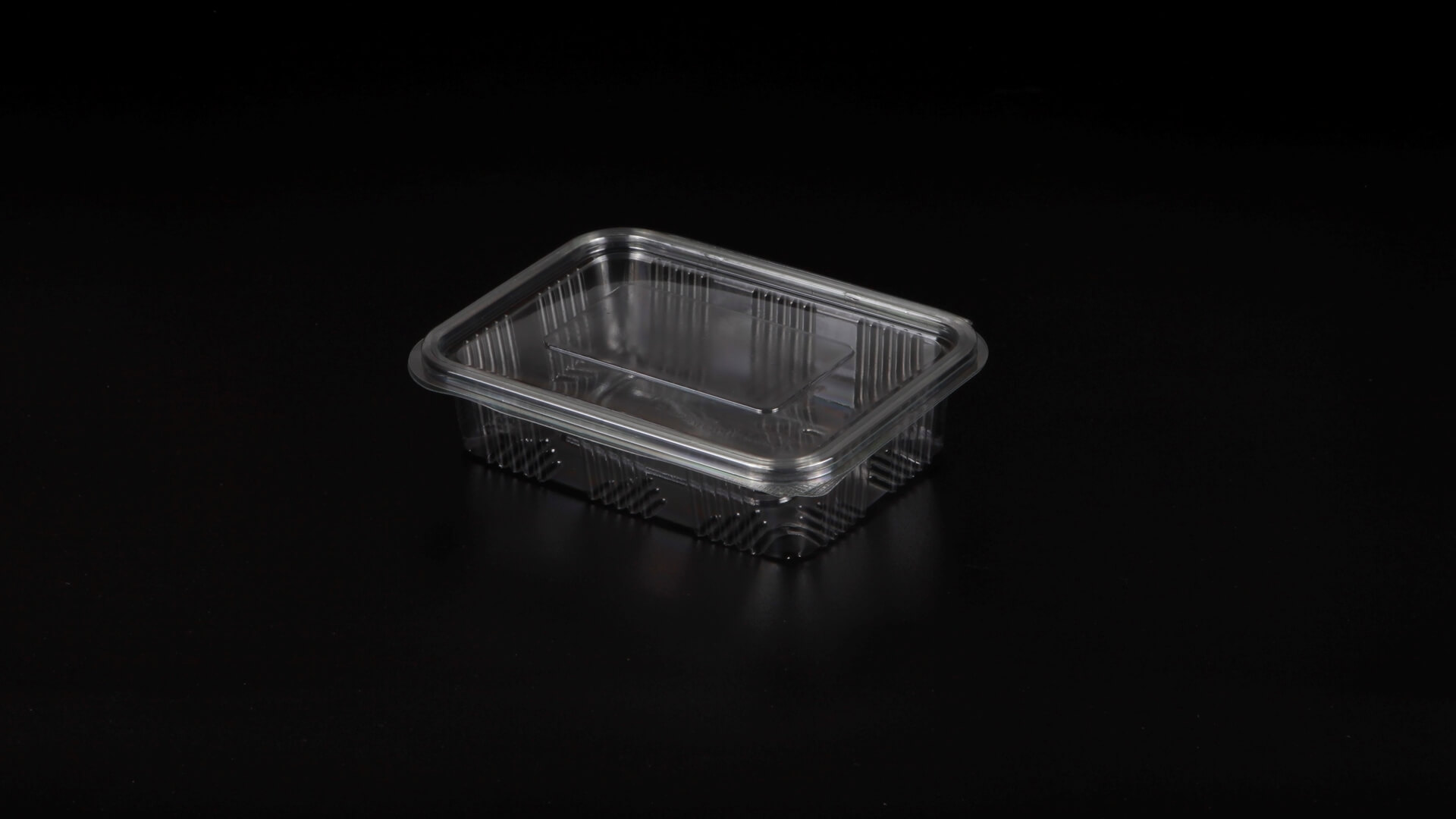 Caserole PET L - 062 (9 compartimente rotunde)