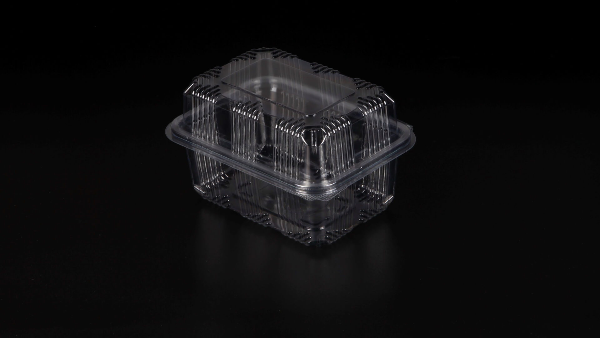 Caserole PET L - 061