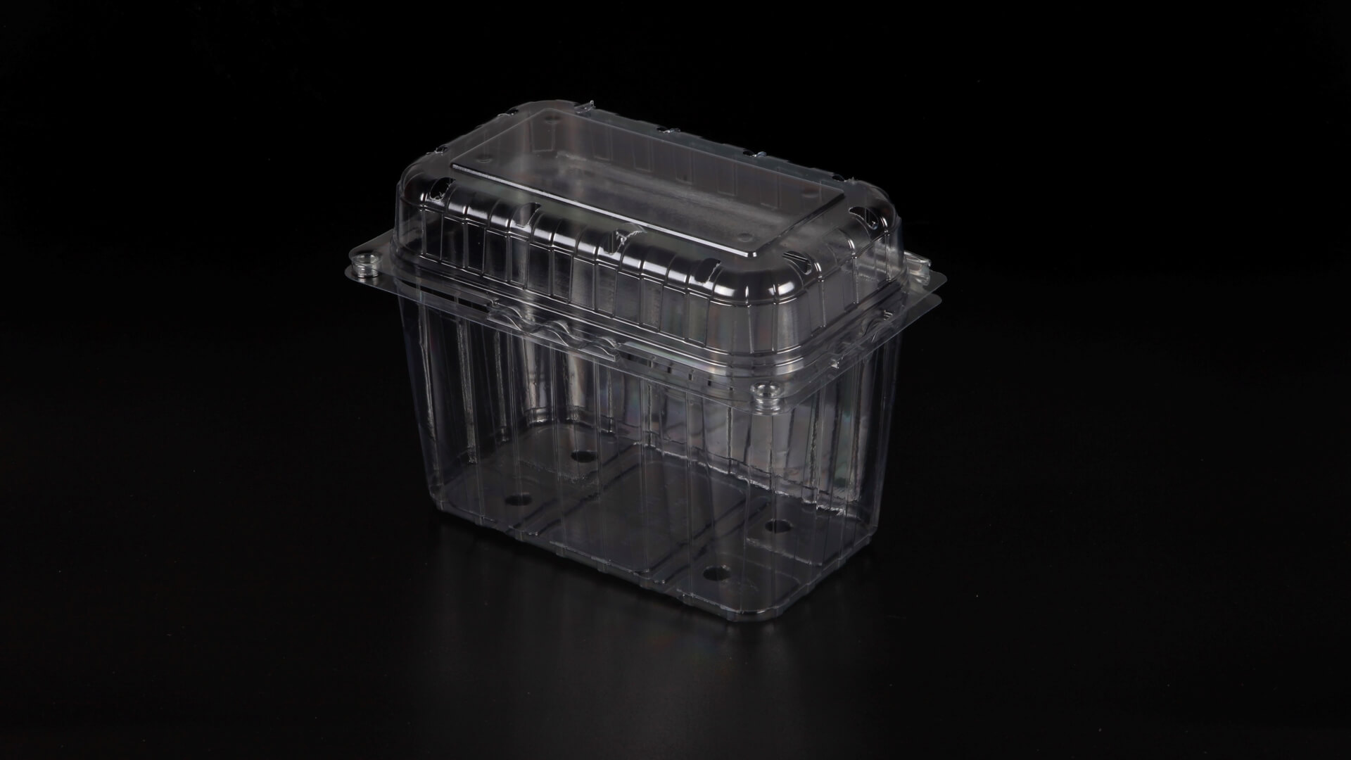 Caserole PET L - 016 (1000 g)