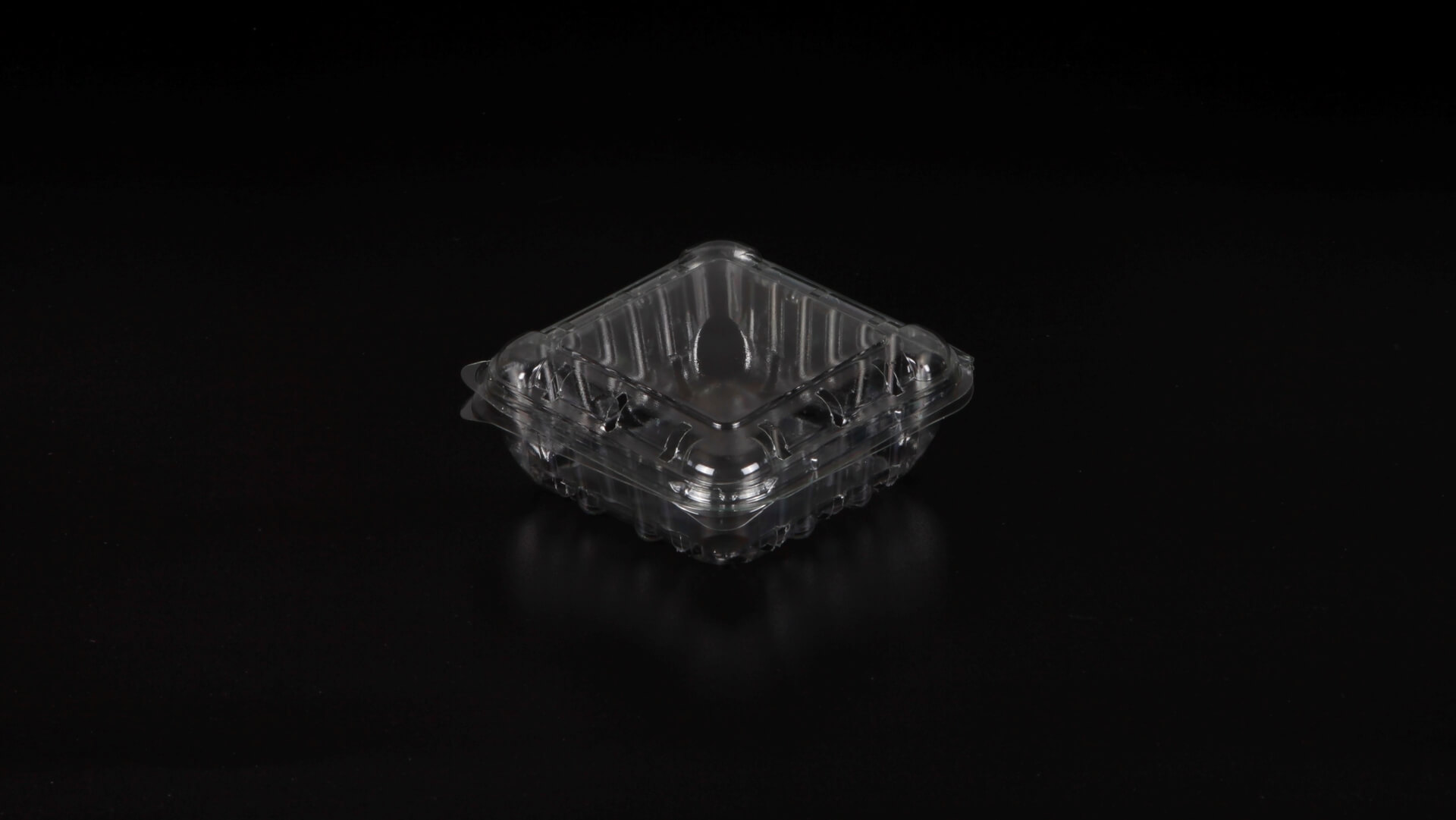 Caserole PET L - 010 (150 g)