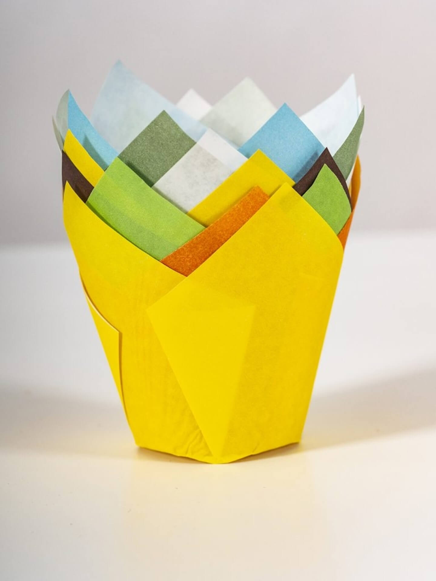 Chese Tulip ER06101