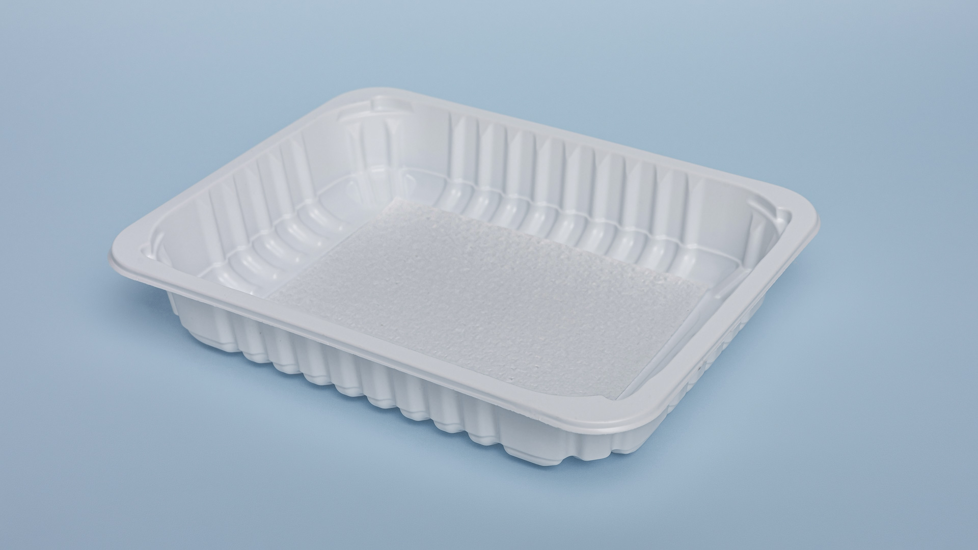 Caserole sudare PP227*178*40 cu absorbant