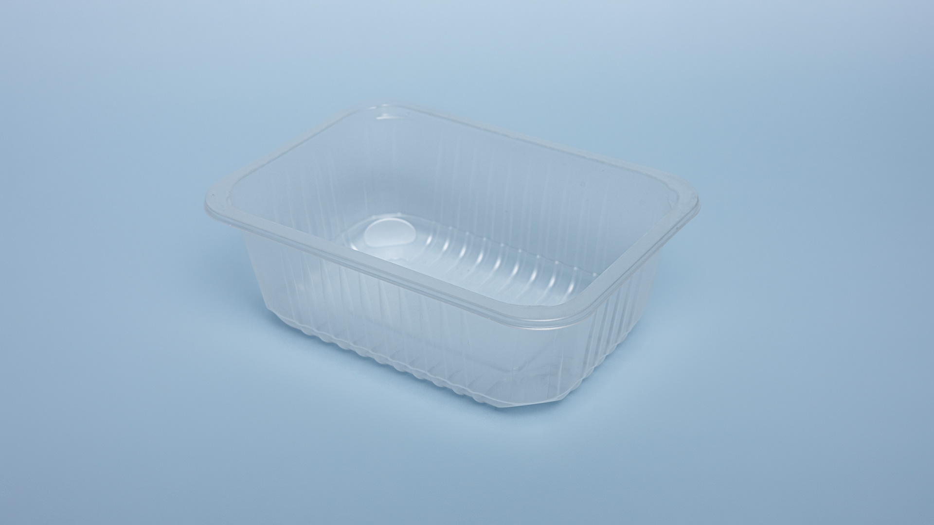 Caserole sudare PP187*137*65