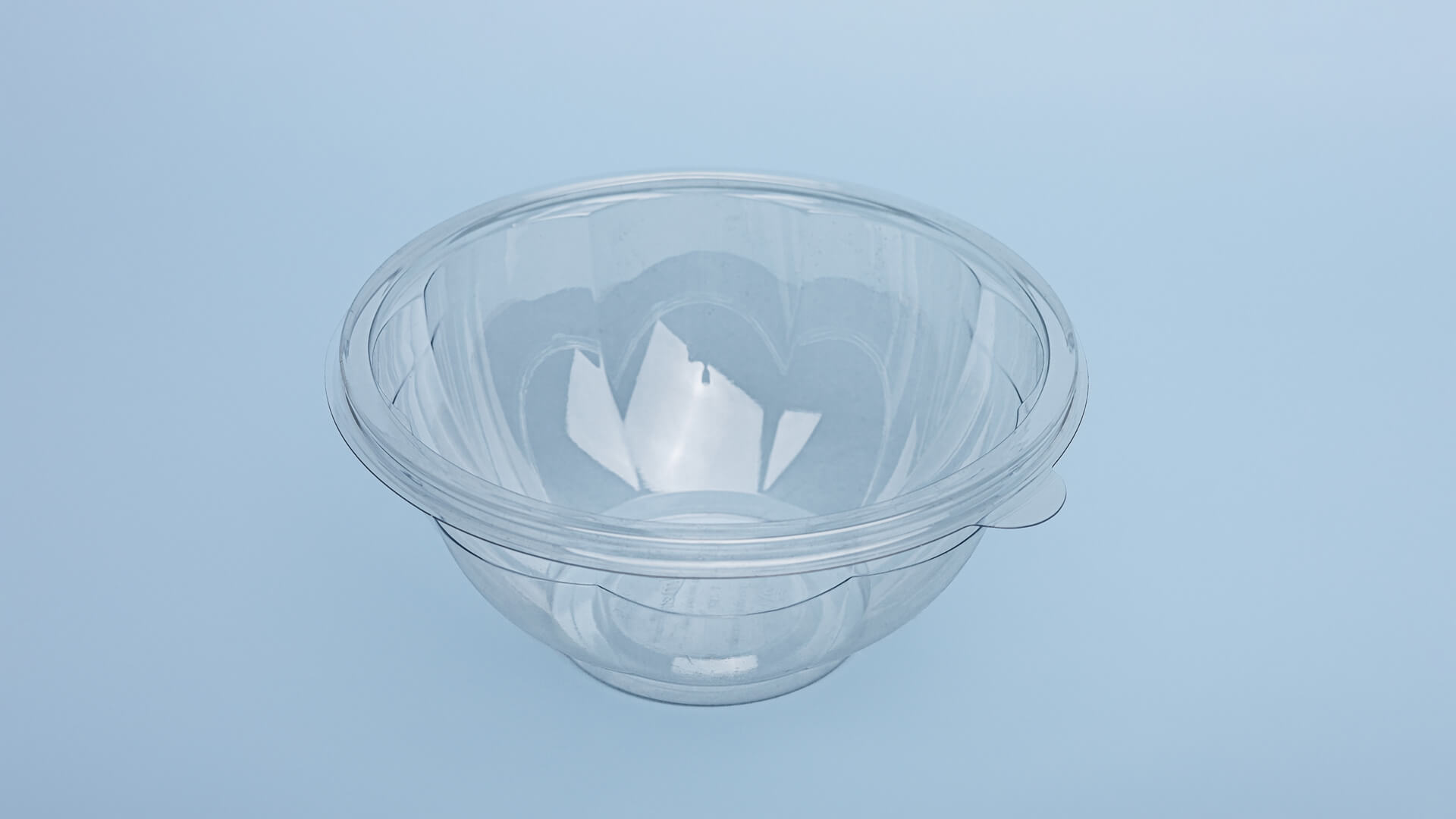 Caserole PET L - 300 (1000 g)