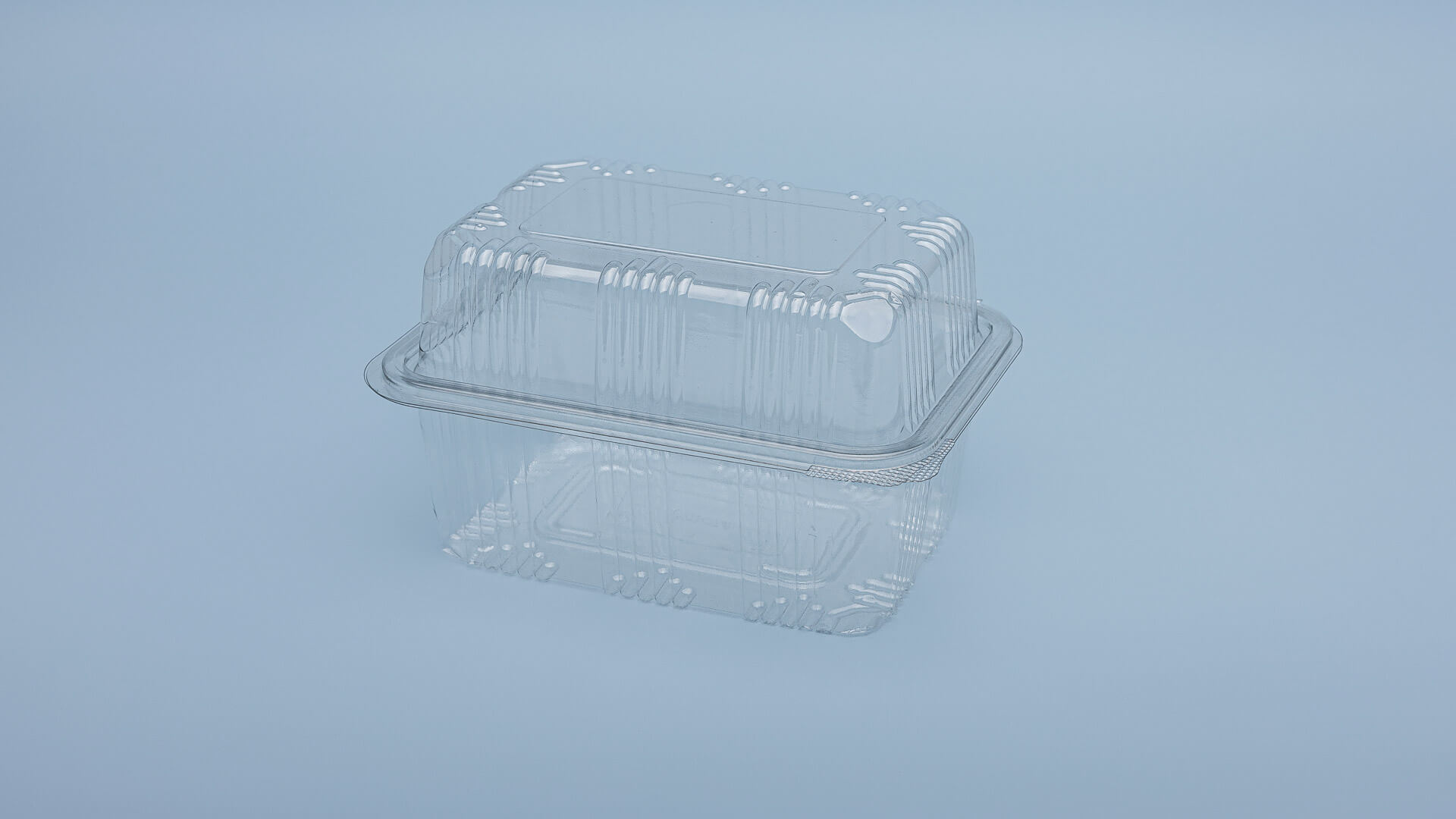 Caserole PET L - 061