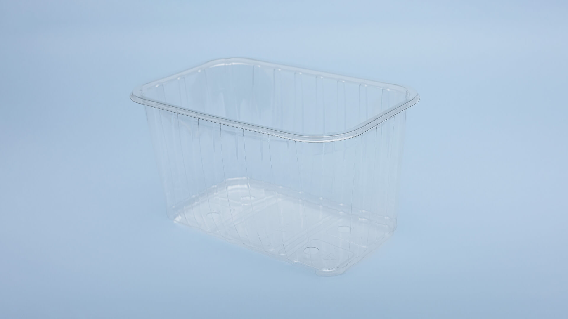 Caserole PET L - 026 (1000 g)