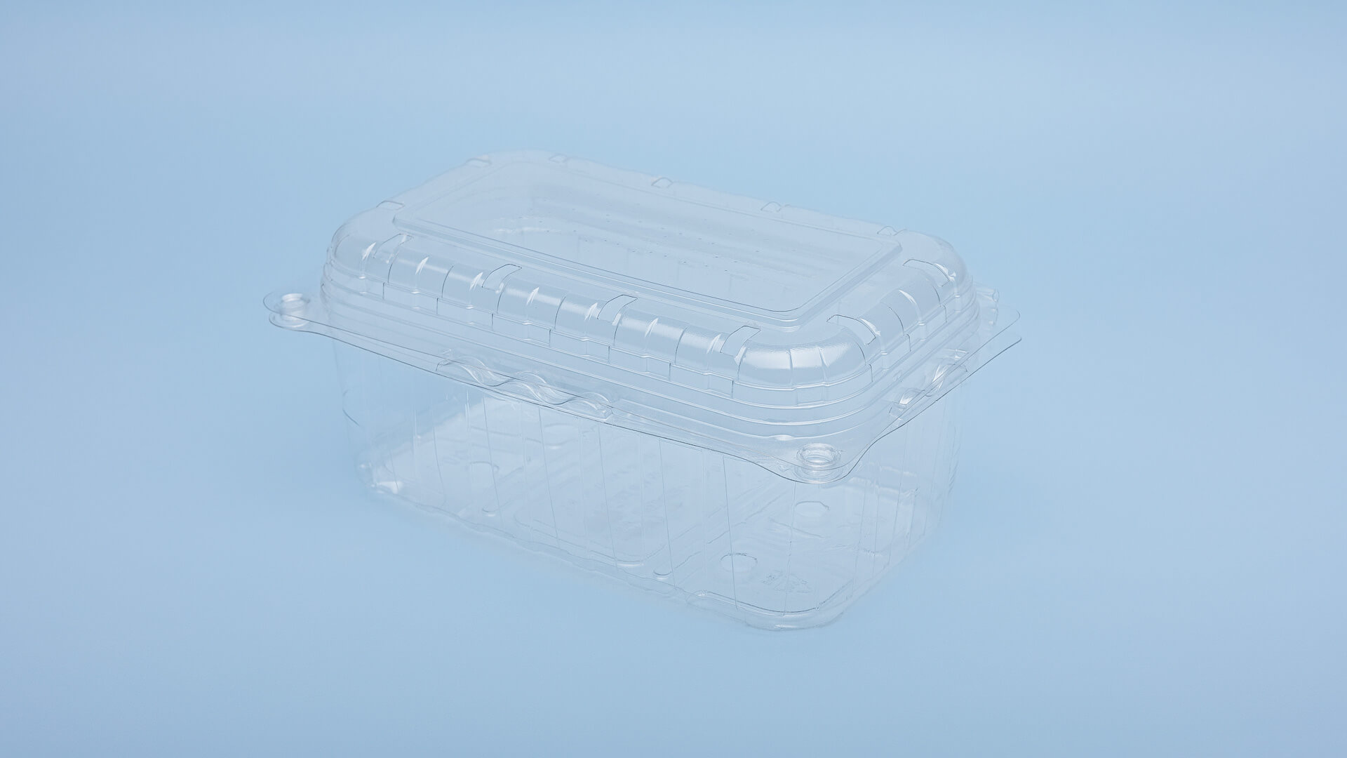 Caserole PET L - 013 (500 g)