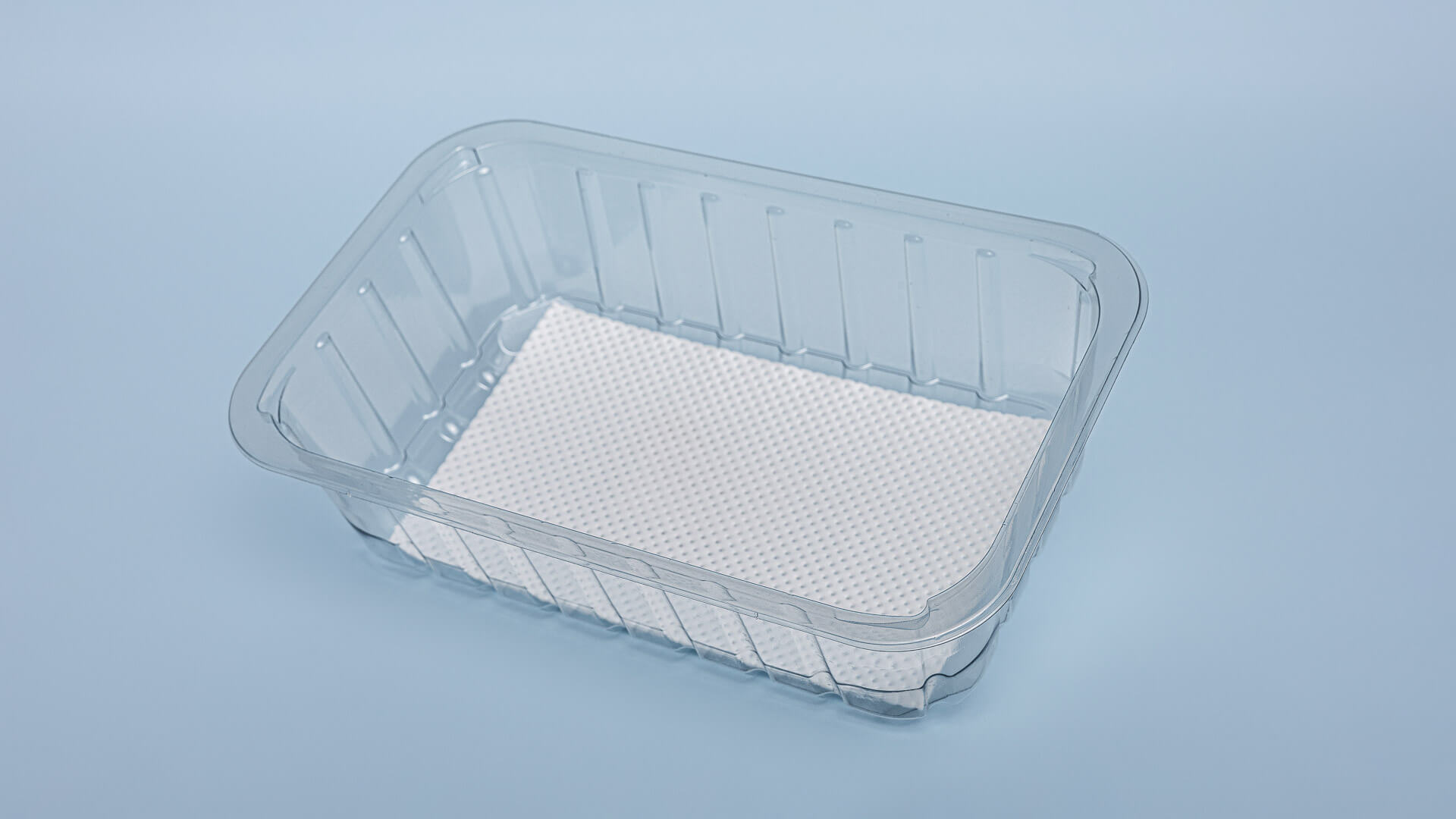 Caserole APET/PE 230*144*65 cu absorbant