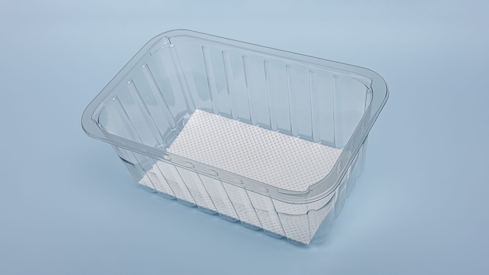 Caserole APET/PE 230*144*90 cu absorbant